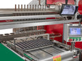 Automatic Multi-row Vegetable Transplanter (2ZD-6) - image 4