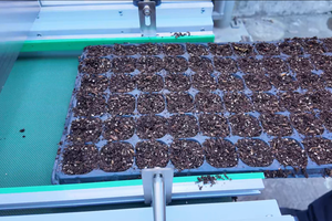 Finished Tray Output
