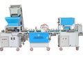 Complete Horizontal Seeding Line — Needle Type - image 3