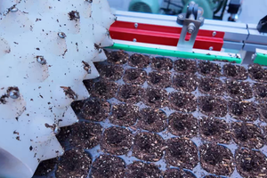 Precision Drum Seeding