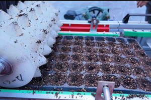 Precision Drum Seeding